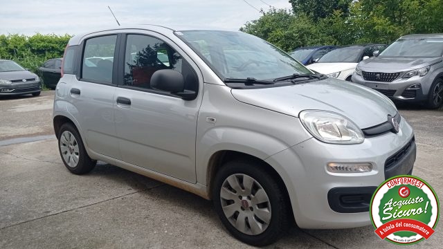 FIAT Panda 1.2 Easy Climatizzata Neo Patentati Immagine 1