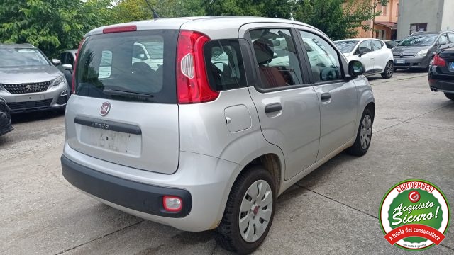 FIAT Panda 1.2 Easy Climatizzata Neo Patentati Immagine 2