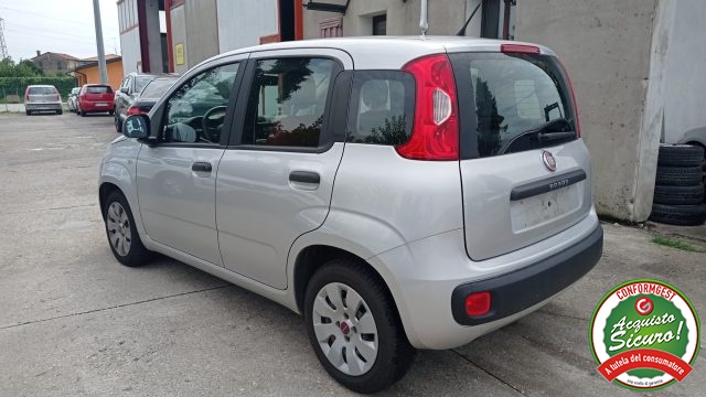 FIAT Panda 1.2 Easy Climatizzata Neo Patentati Immagine 3