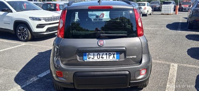 FIAT Panda 1.0 FireFly S&S Hybrid City Life Immagine 3