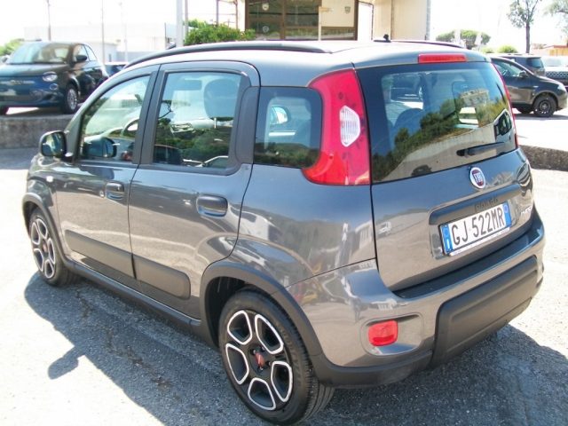 FIAT Panda 1.0 FireFly S&S Hybrid City Life Immagine 2