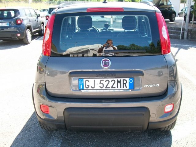 FIAT Panda 1.0 FireFly S&S Hybrid City Life Immagine 3