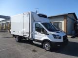 FORD Transit 130CV ISOTERMICO 7 EUROPALLET FRCX -20°