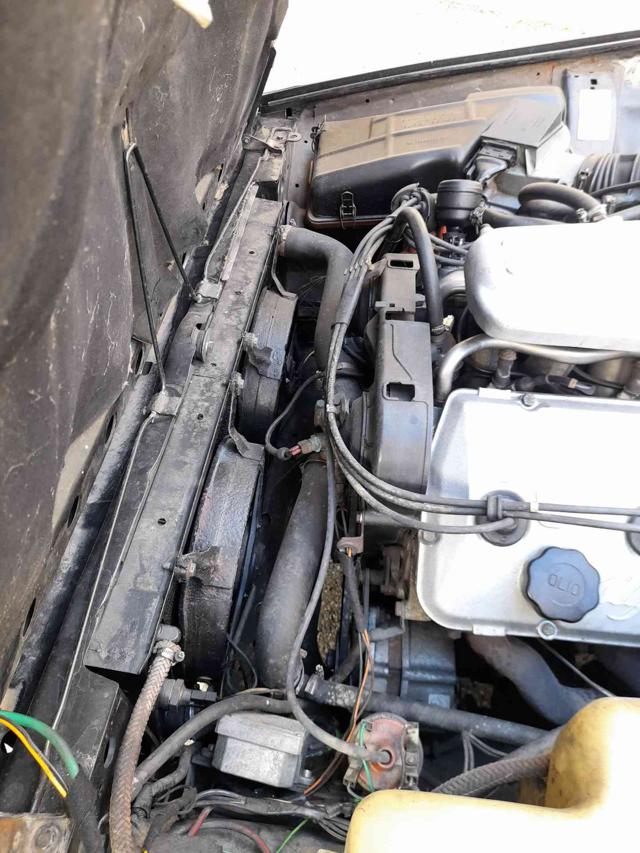 ALFA ROMEO GTV 2.5I  V6 BUSSO - foto 35