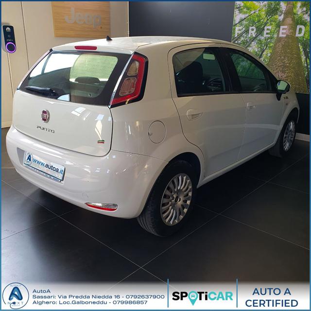 FIAT Punto 1.4 8V 5 porte Easypower Young Immagine 3