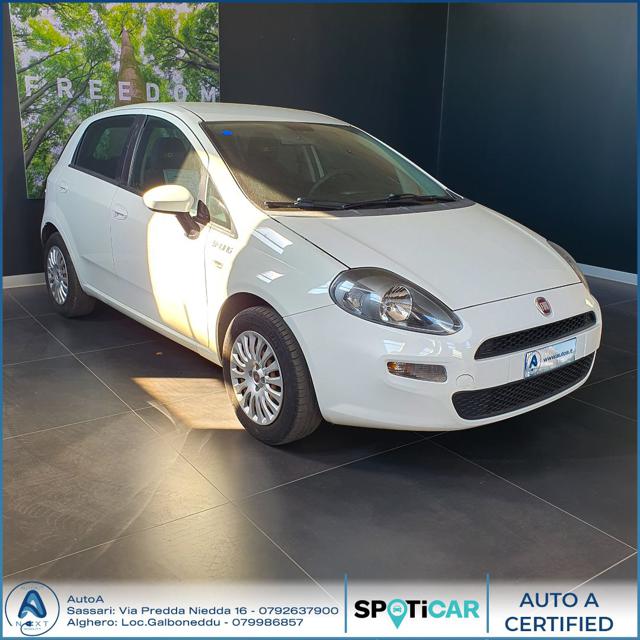 FIAT Punto 1.4 8V 5 porte Easypower Young Immagine 2