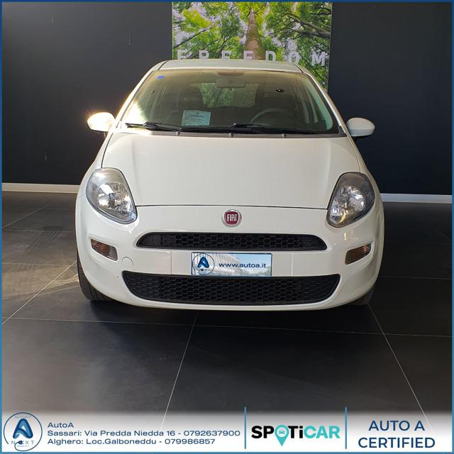 FIAT Punto 1.4 8V 5 porte Easypower Young Immagine 1