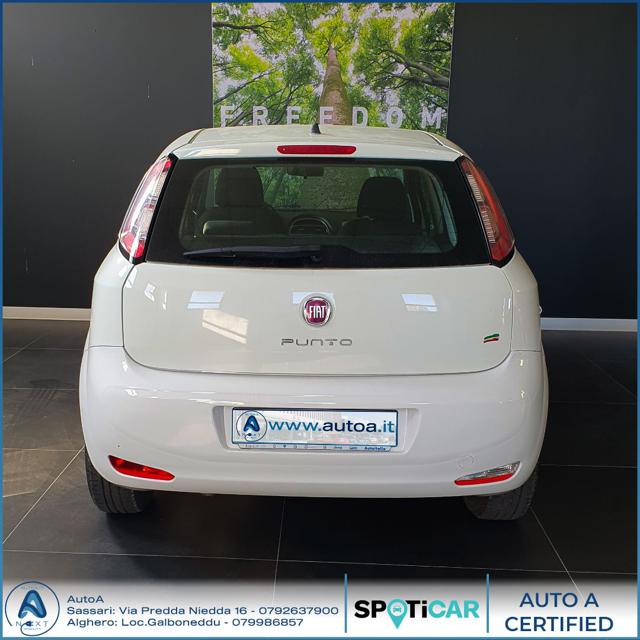 FIAT Punto 1.4 8V 5 porte Easypower Young Immagine 4