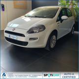 FIAT Punto 1.4 8V 5 porte Easypower Young