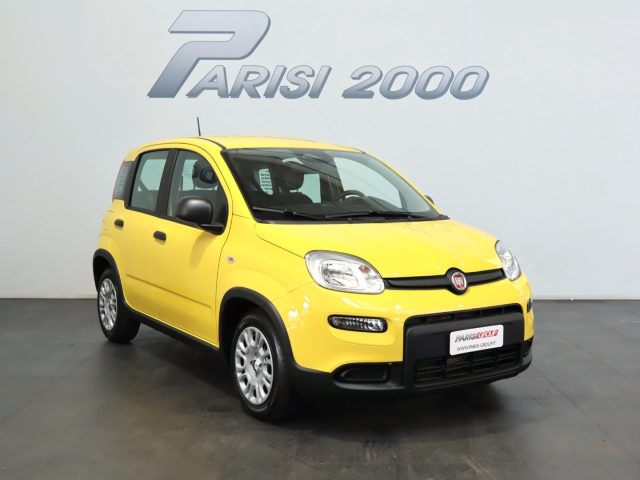 FIAT Panda 1.0 FireFly S&S Hybrid  new version 2024 Immagine 1