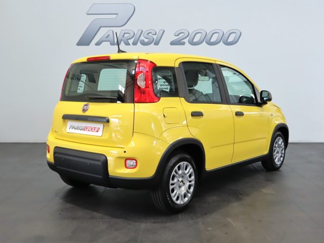 FIAT Panda 1.0 FireFly S&S Hybrid  new version 2024 Immagine 2