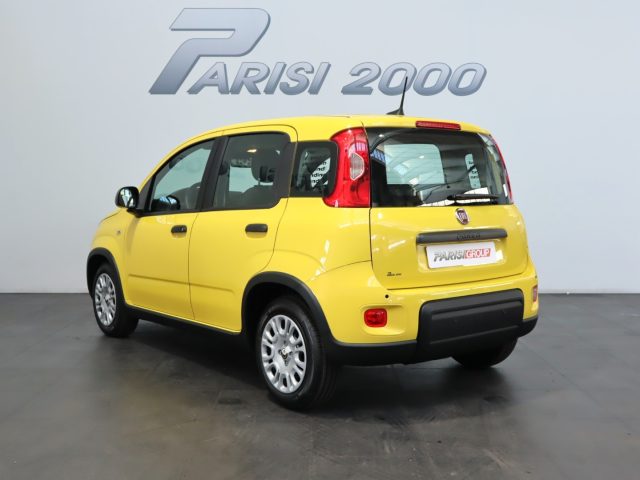 FIAT Panda 1.0 FireFly S&S Hybrid  new version 2024 Immagine 3