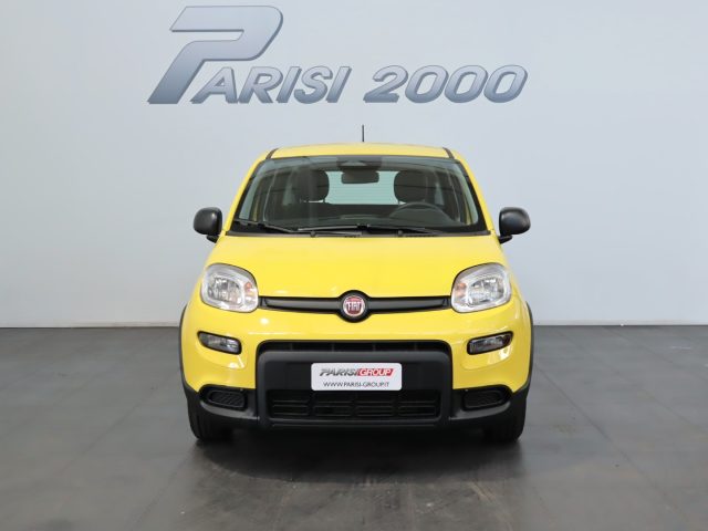 FIAT Panda 1.0 FireFly S&S Hybrid  new version 2024 Immagine 4