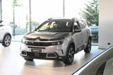 CITROEN C5 Aircross 1.5 BlueHDi 130cv EAT8 Shine