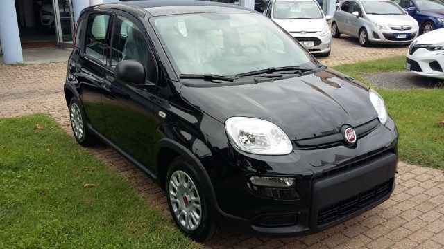 FIAT Panda 1.0 FireFly S&S Hybrid Immagine 1