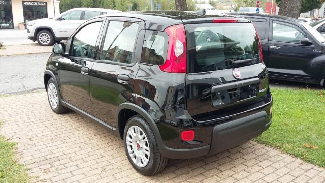 FIAT Panda 1.0 FireFly S&S Hybrid Immagine 2