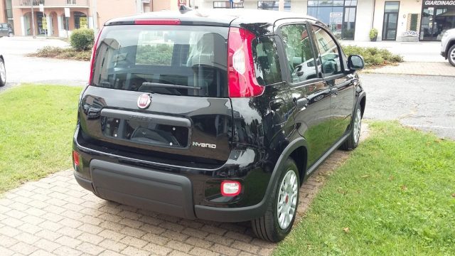 FIAT Panda 1.0 FireFly S&S Hybrid Immagine 3