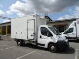 FIAT Ducato CELLA FRIGO 0-4°  SOLO RIVENDITORI MINI PASSAGGIO