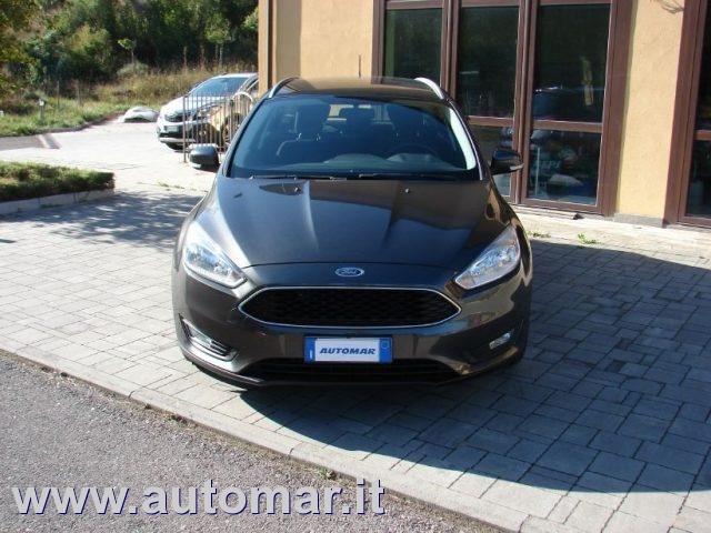 FORD Focus 1.5 TDCi 120 CV Start&Stop SW Business Immagine 1