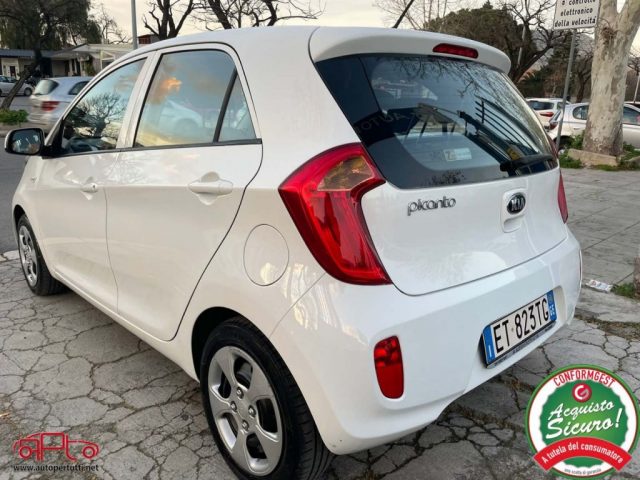 KIA Picanto 1.0 12V 5p Glam Immagine 3