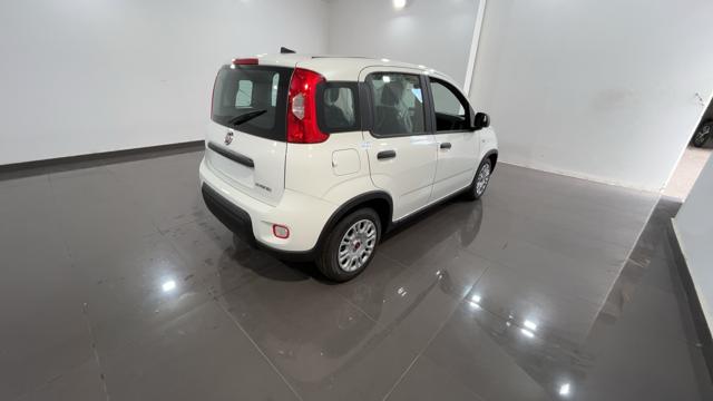 FIAT Panda 1.0 FireFly S&S Hybrid - VARI COLORI! Immagine 3