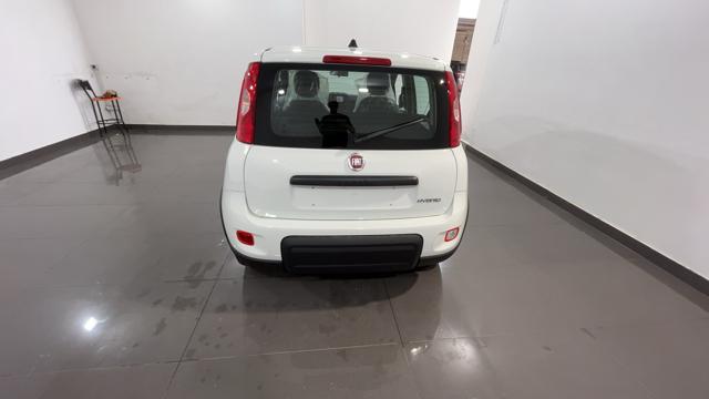 FIAT Panda 1.0 FireFly S&S Hybrid - VARI COLORI! Immagine 4