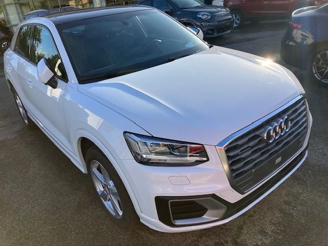 AUDI Q2 40 TFSI quattro S tronic Admired Quattro Immagine 2