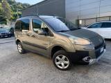 PEUGEOT Partner Tepee 1.6 HDi 92CV 4X4 Active Endurance