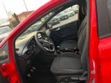 FORD Fiesta 1.5 EcoBlue 5 porte ST-Line