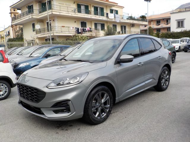 FORD Kuga 2.0 EcoBlue 120 CV aut. 2WD ST-Line Immagine 0