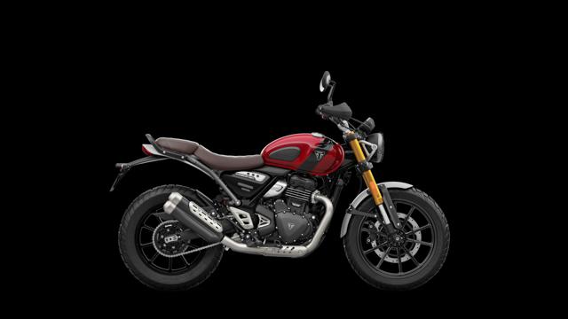 TRIUMPH Scrambler 400 2024 Immagine 0