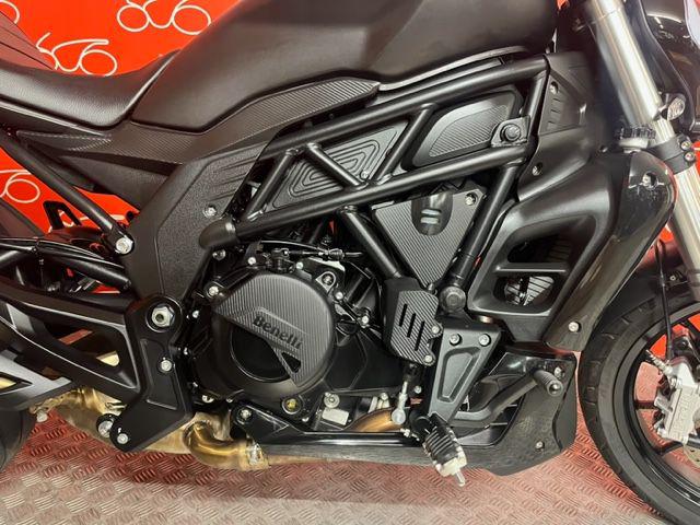 BENELLI 502 C 2022 Immagine 1