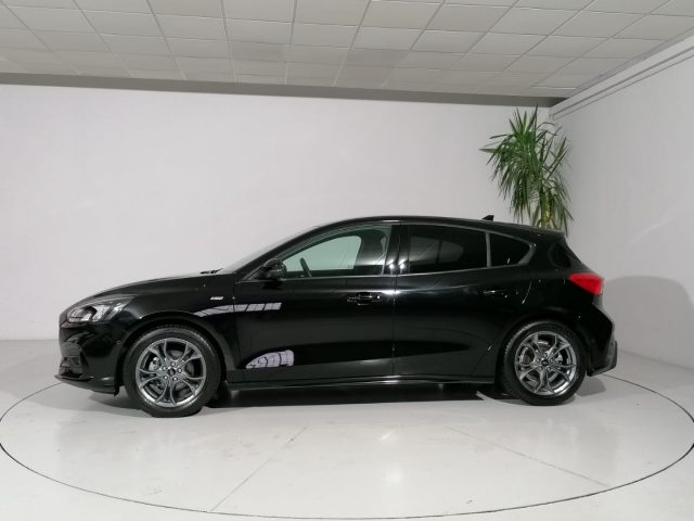 FORD Focus 1.0 EcoBoost 125 CV 5p. ST Line Immagine 3