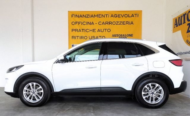 FORD Kuga 1.5 EcoBlue 120 CV 2WD Titanium GAR/UFF 2024 Immagine 2