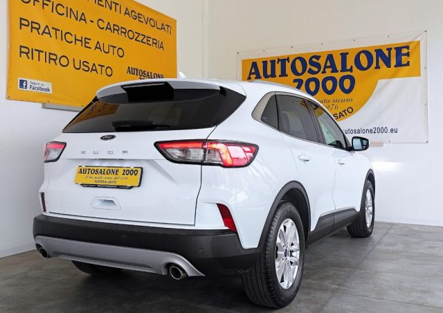 FORD Kuga 1.5 EcoBlue 120 CV 2WD Titanium GAR/UFF 2024 Immagine 3