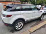 LAND ROVER Range Rover Evoque 2.0 eD4 5p. Business Edition Premium Pure