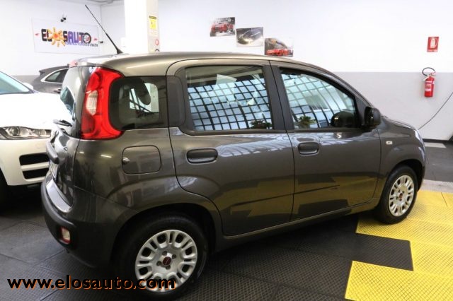 FIAT Panda 1.2  Easy GPL Immagine 3