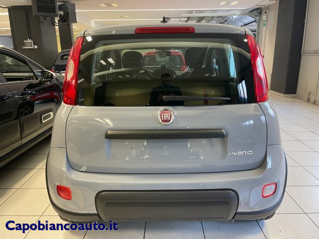 FIAT Panda 1.0 FireFly S&S Hybrid City Life TUA A ? 198,00 Immagine 4