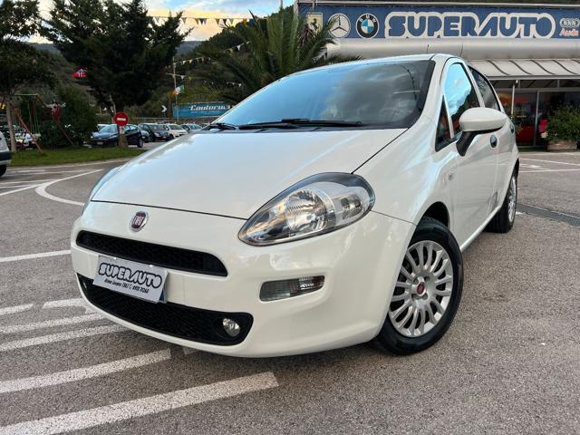 FIAT Punto 1.3 MJT II S&S 95 CV 5 porte Street Immagine 2