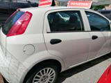 FIAT Punto 1.2 8V 5 porte S OK NEO PATENTATI '16  KM 88000