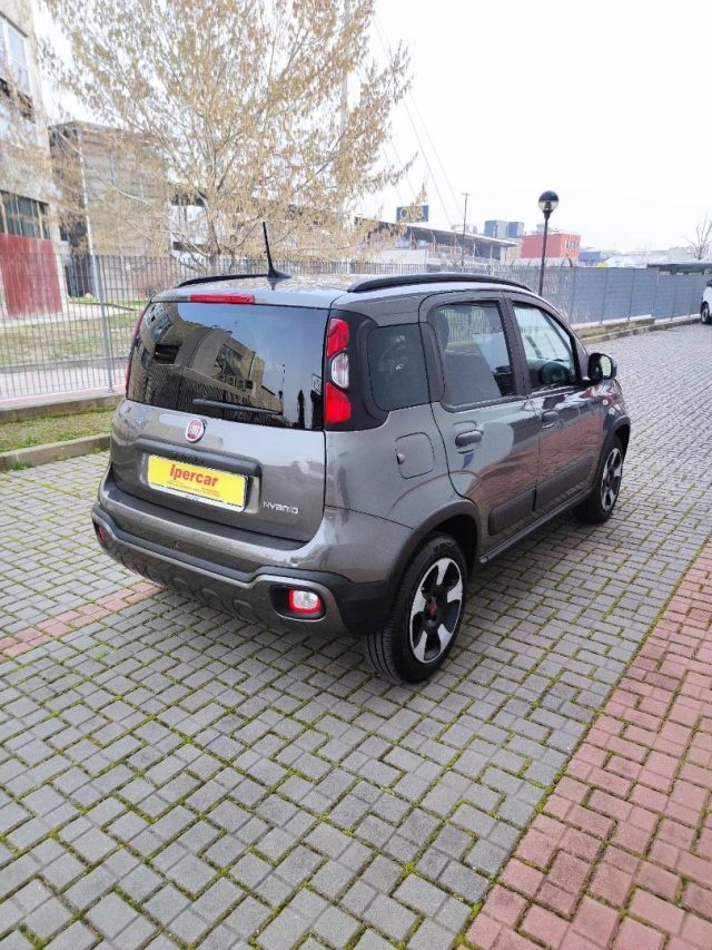 FIAT Panda Cross 1.0 HYBRID Immagine 3