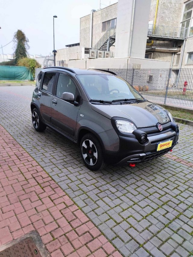 FIAT Panda Cross 1.0 HYBRID Immagine 2