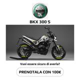 BENELLI Other BKX 300 S 2024