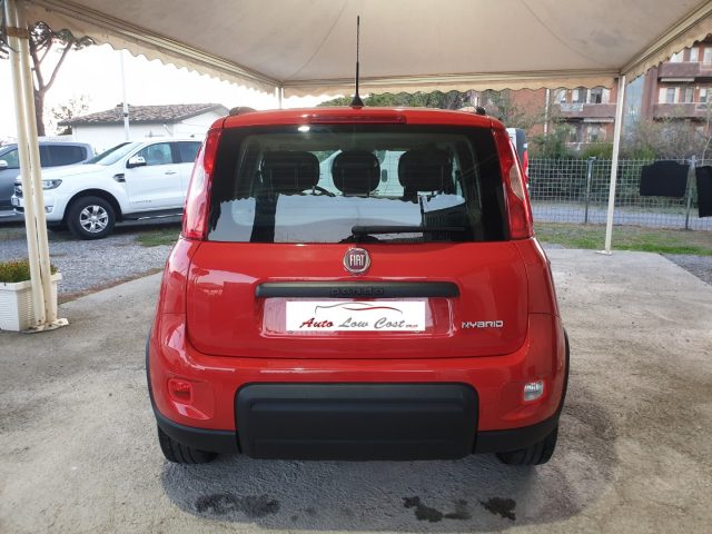 FIAT Panda 1.0 FireFly S&S Hybrid City Life Immagine 4