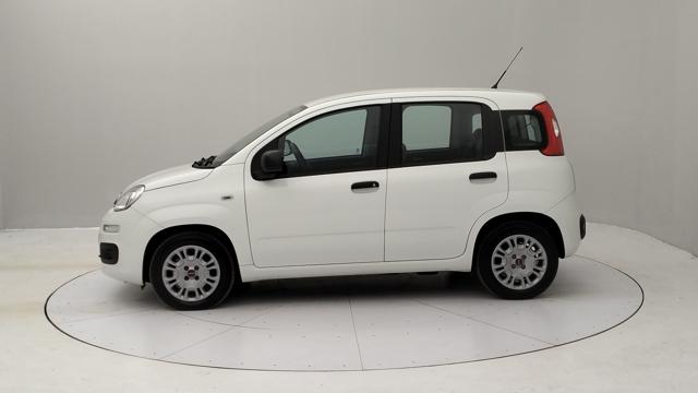 FIAT Panda 1.0 firefly hybrid s&s 70cv 5p.ti Immagine 1