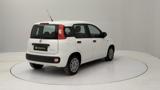 FIAT Panda 1.0 firefly hybrid s&s 70cv 5p.ti