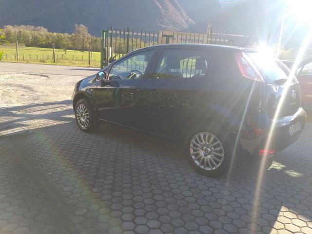 FIAT Punto 1.4 8V 5 porte Natural Power Immagine 3