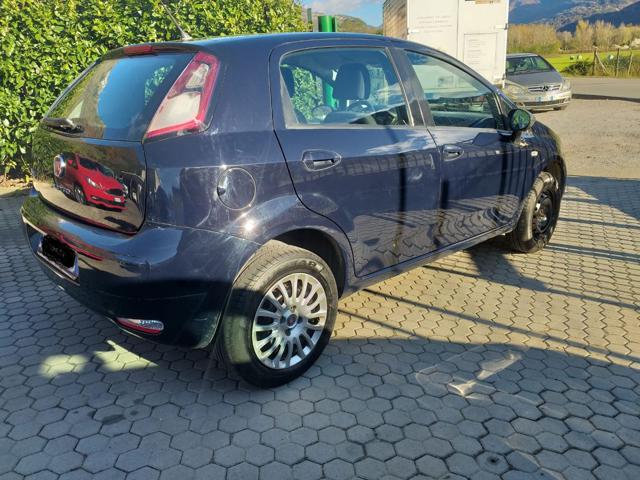 FIAT Punto 1.4 8V 5 porte Natural Power Immagine 2