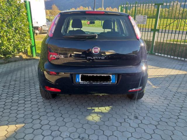 FIAT Punto 1.4 8V 5 porte Natural Power Immagine 4