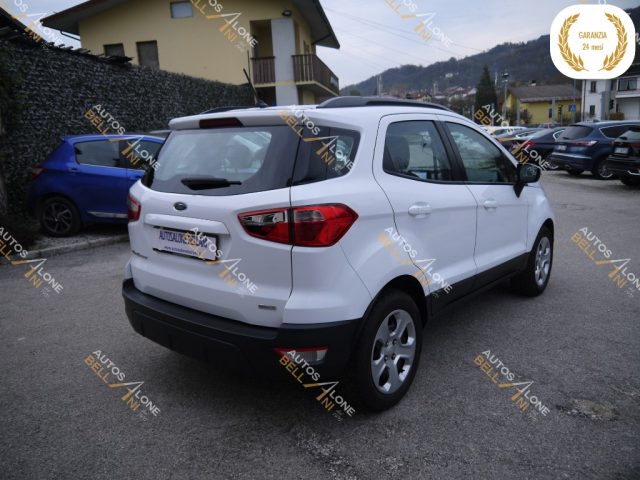 FORD EcoSport 1.5 TDCi 100 CV Start&Stop Plus Immagine 4